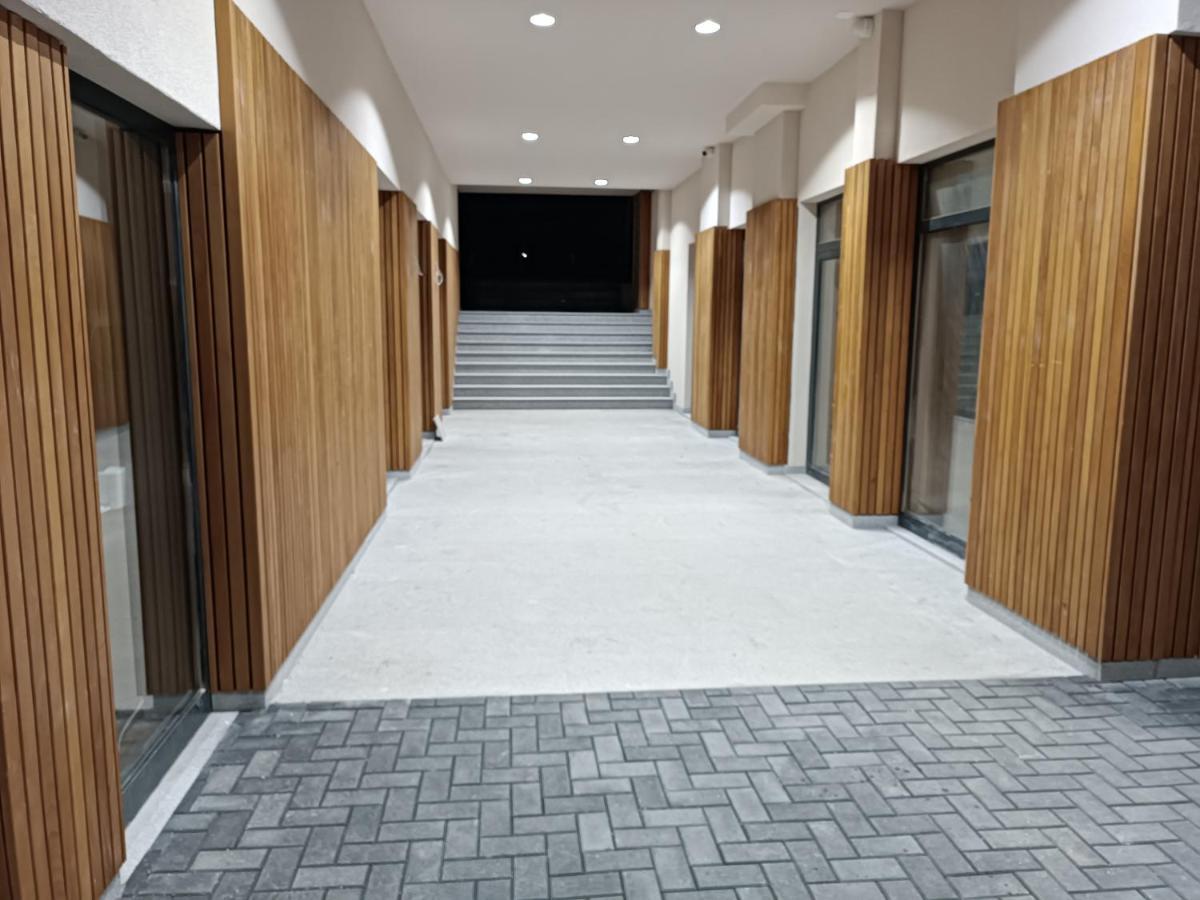 Kopaonik Apart Bela Reka Brzeće 外观 照片